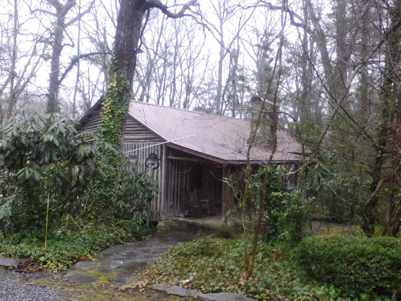 Weathered metal roof on an old board sided cabin in the woods in Watauga