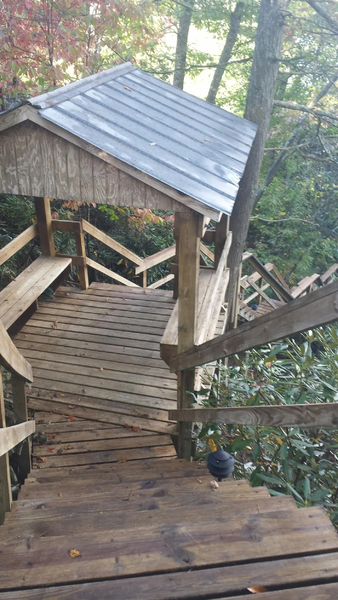 Metal roofed shelter over wooden steps on a wooded walkway — Skylight Repair & Installation work by our crew in Watauga